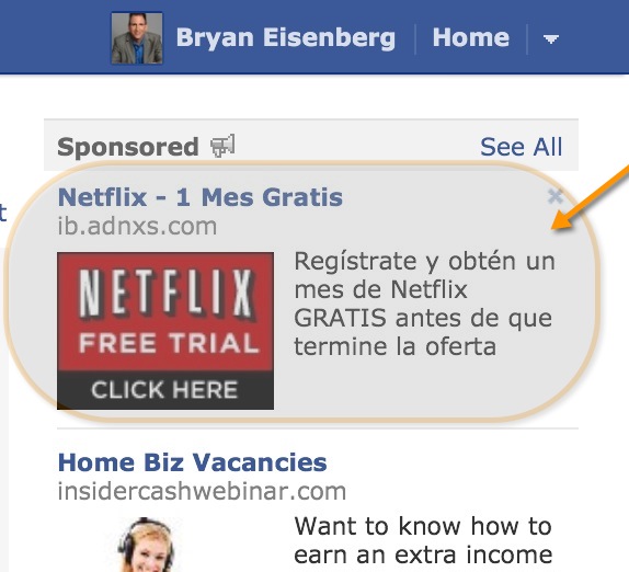 netflix FB ad targeting spanish Bryan Eisenberg & Jeffrey Eisenberg